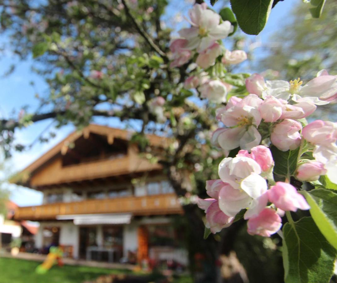 Appartementhaus Schirsner - Direkt Am See & Am Kurpark Schliersee Exteriör bild